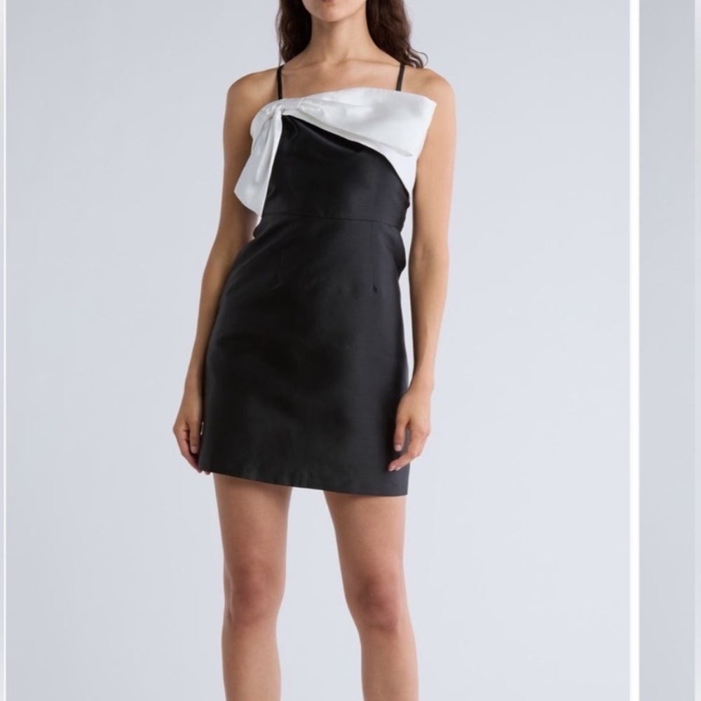 NWT Hutch Serena Bow A-Line Satin Mini Dress